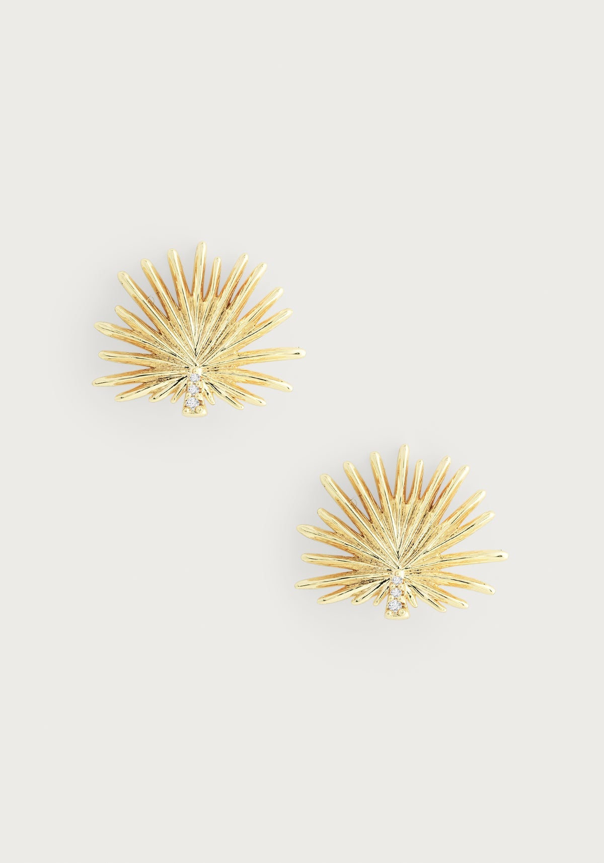Anabel Aram Palm Collection