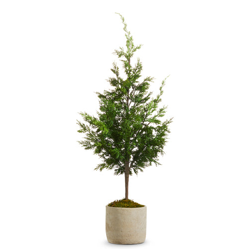 38" Potted Cedar Tree The Little House Shop