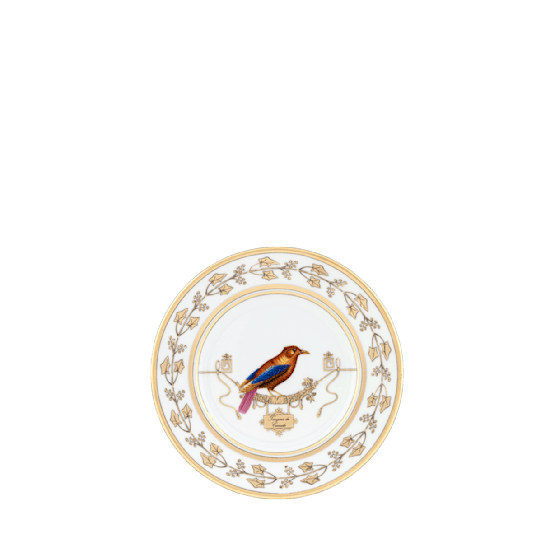 Ginori 1735 Voliere Collection