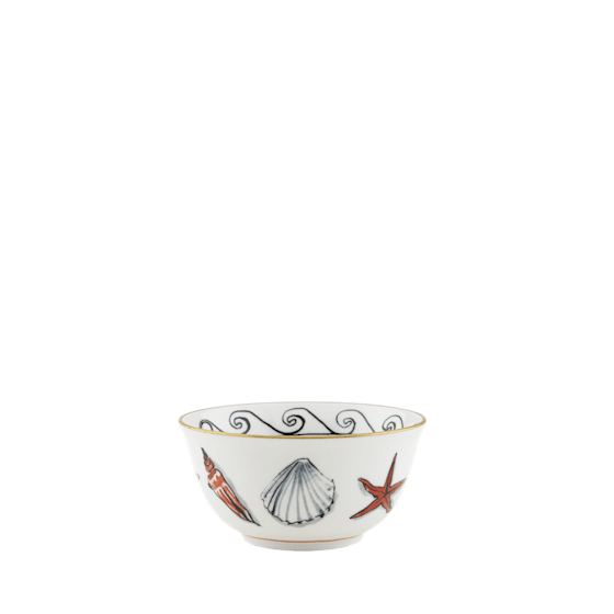 Ginori 1735 Neptune's Voyage Dinnerware Collection