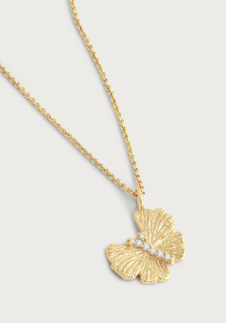 Anabel Aram Butterfly Collection