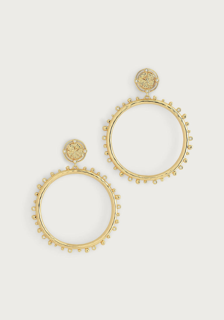 Anabel Aram Butterfly Collection