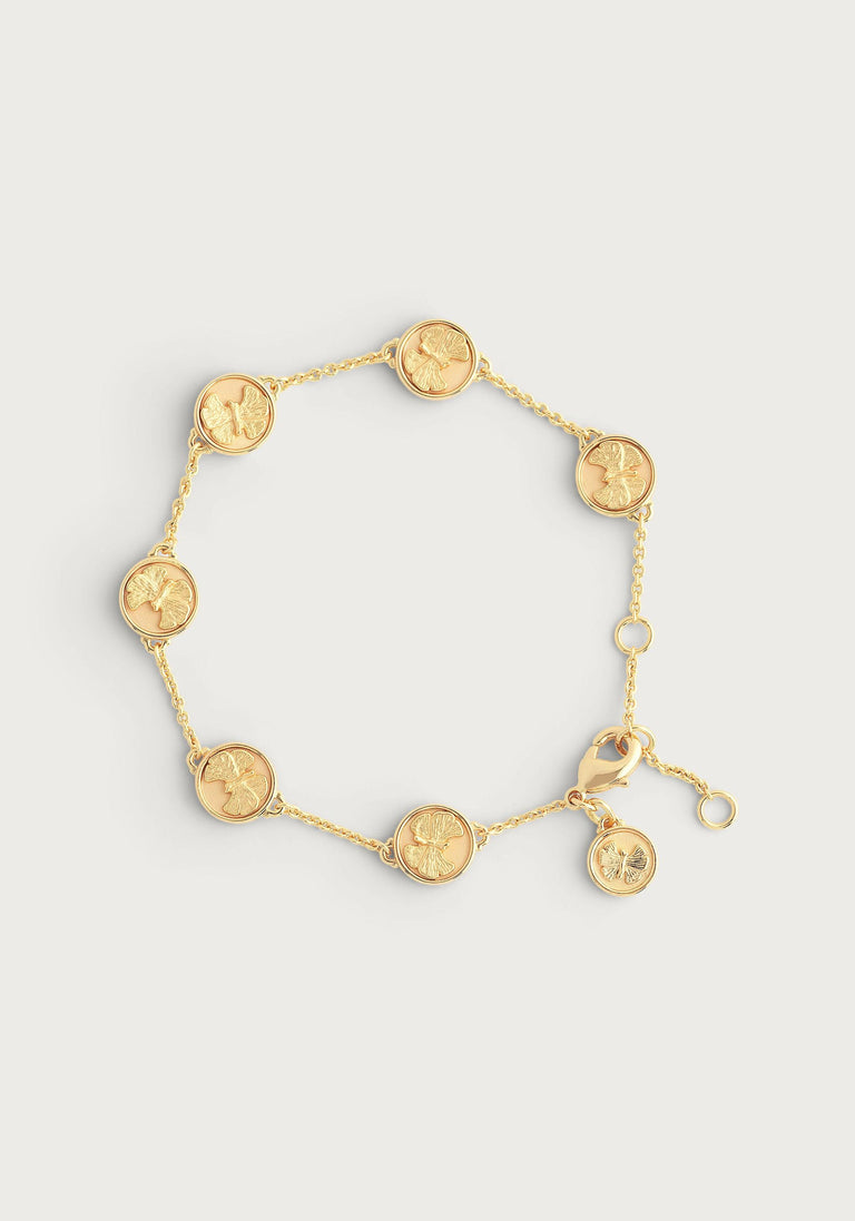 Anabel Aram Butterfly Collection