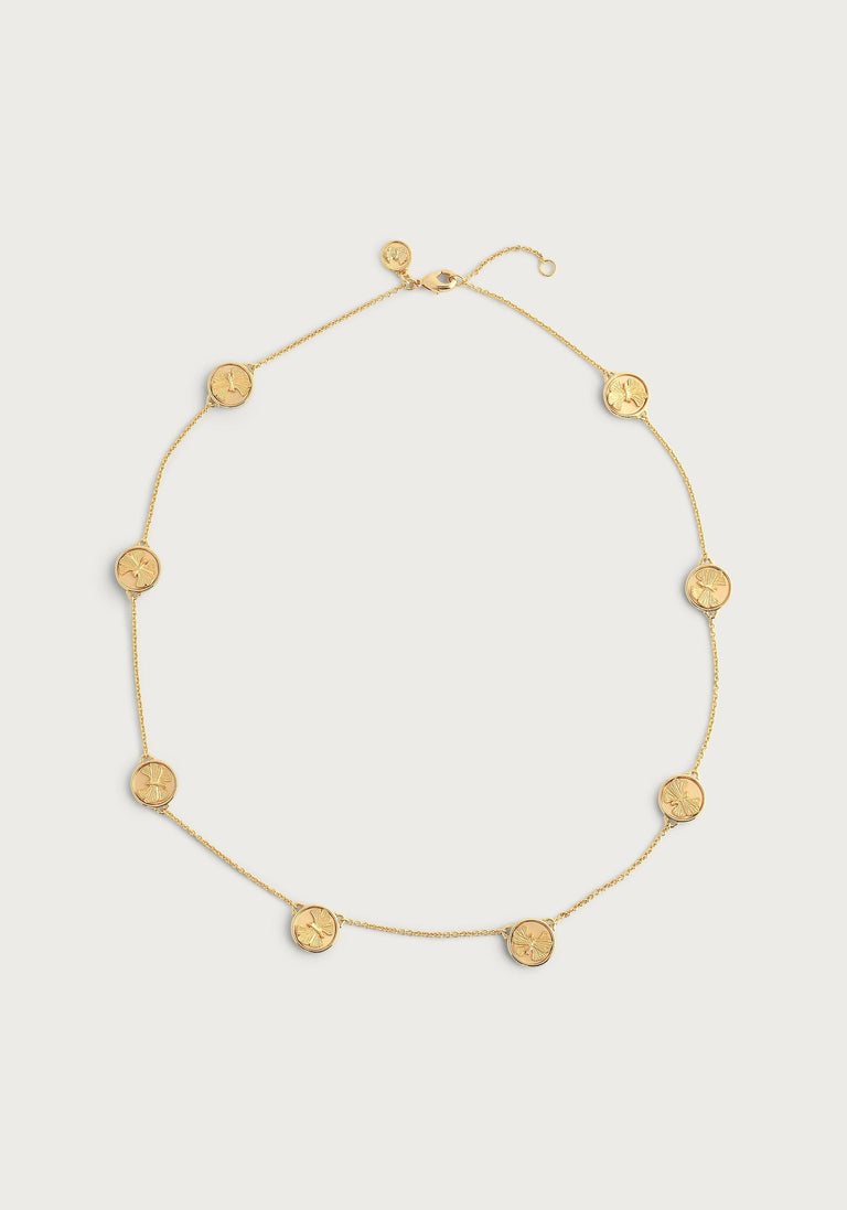 Anabel Aram Butterfly Collection