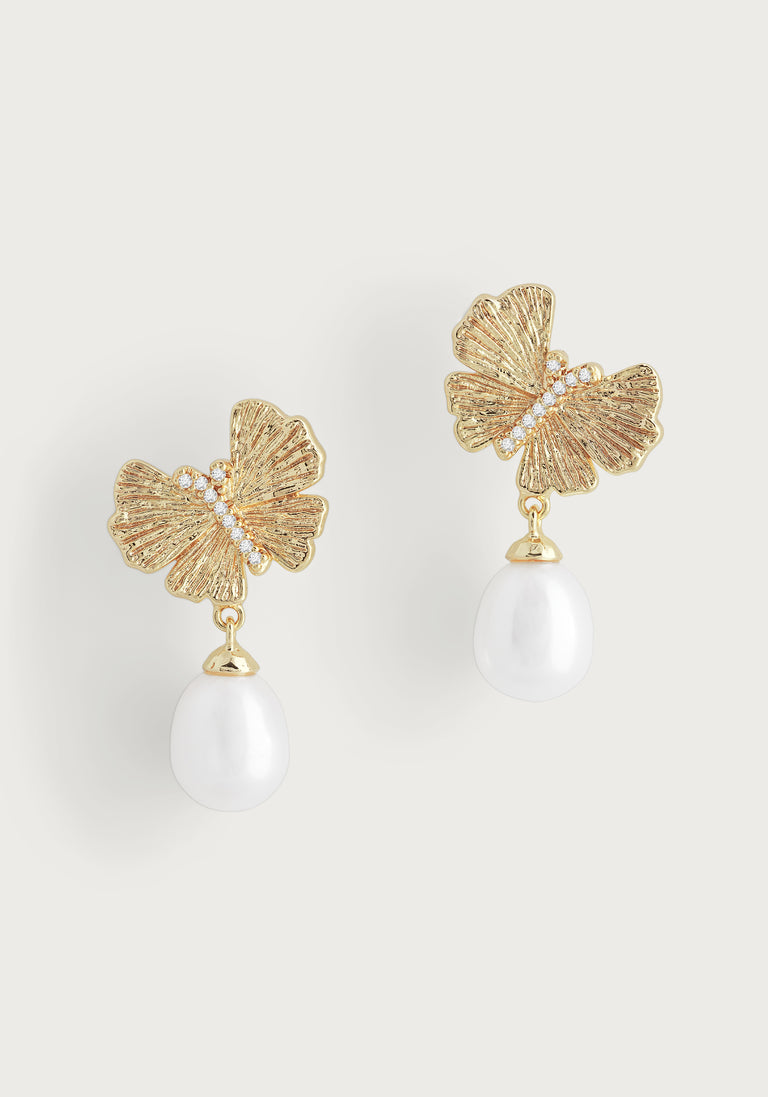 Anabel Aram Butterfly Collection