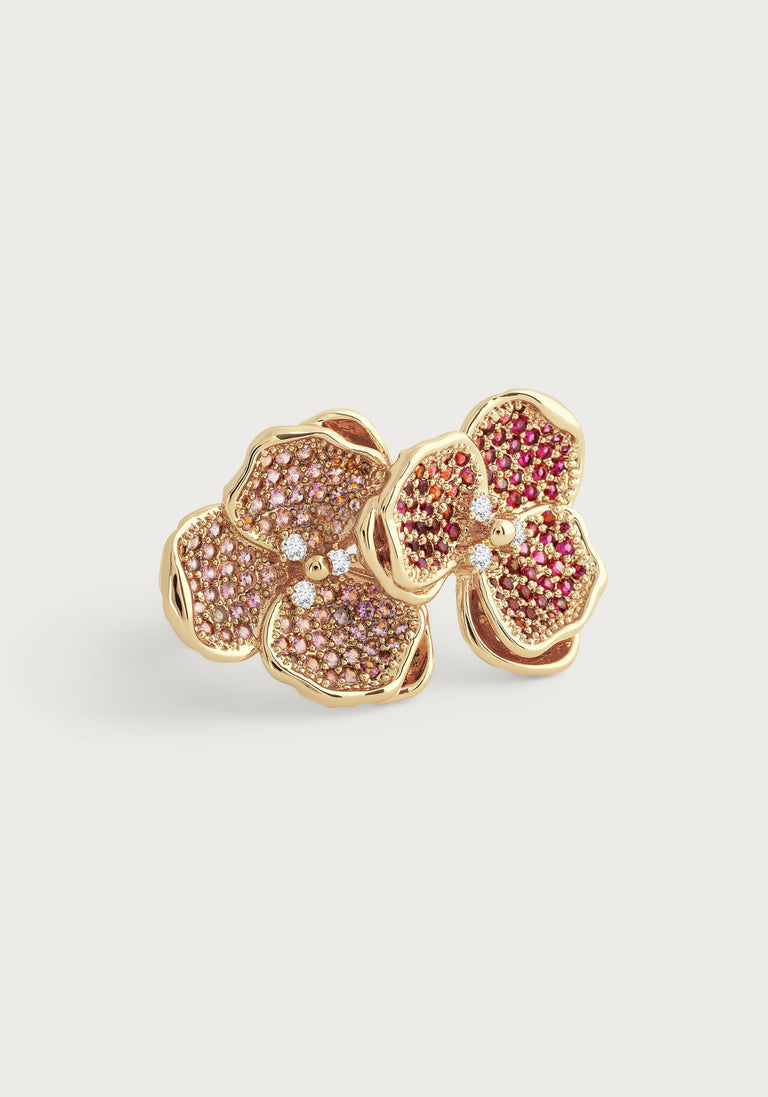 Anabel Aram Orchid Collection