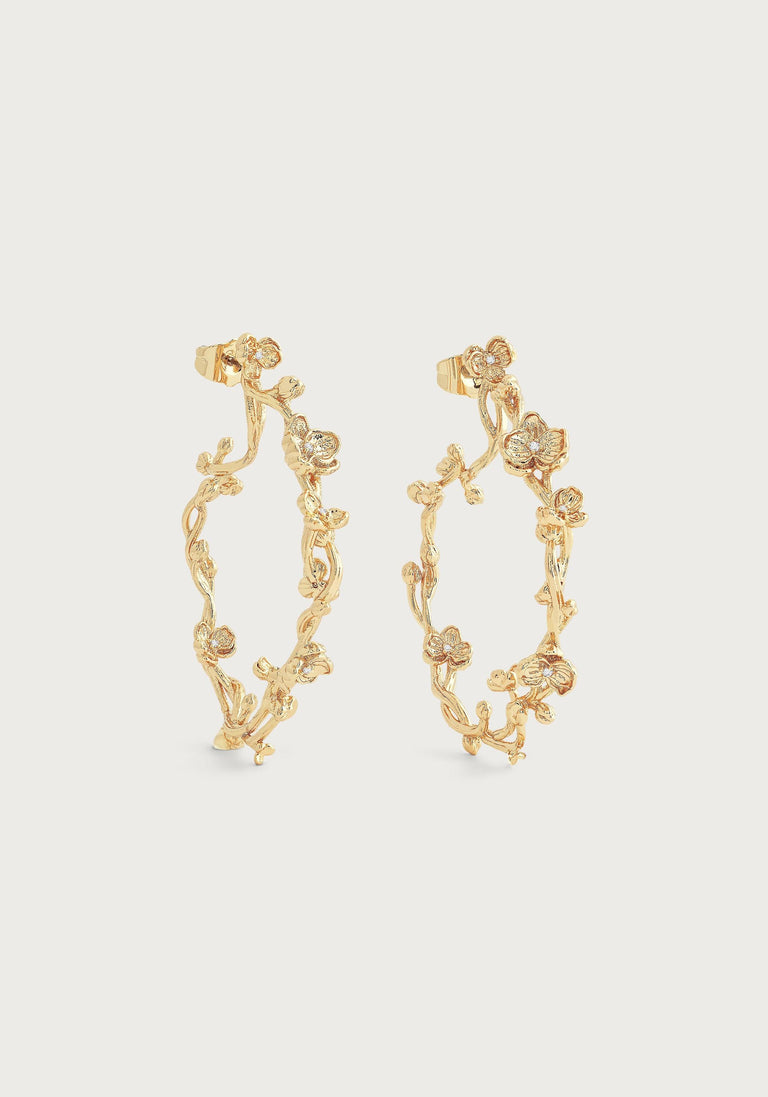 Anabel Aram Orchid Collection