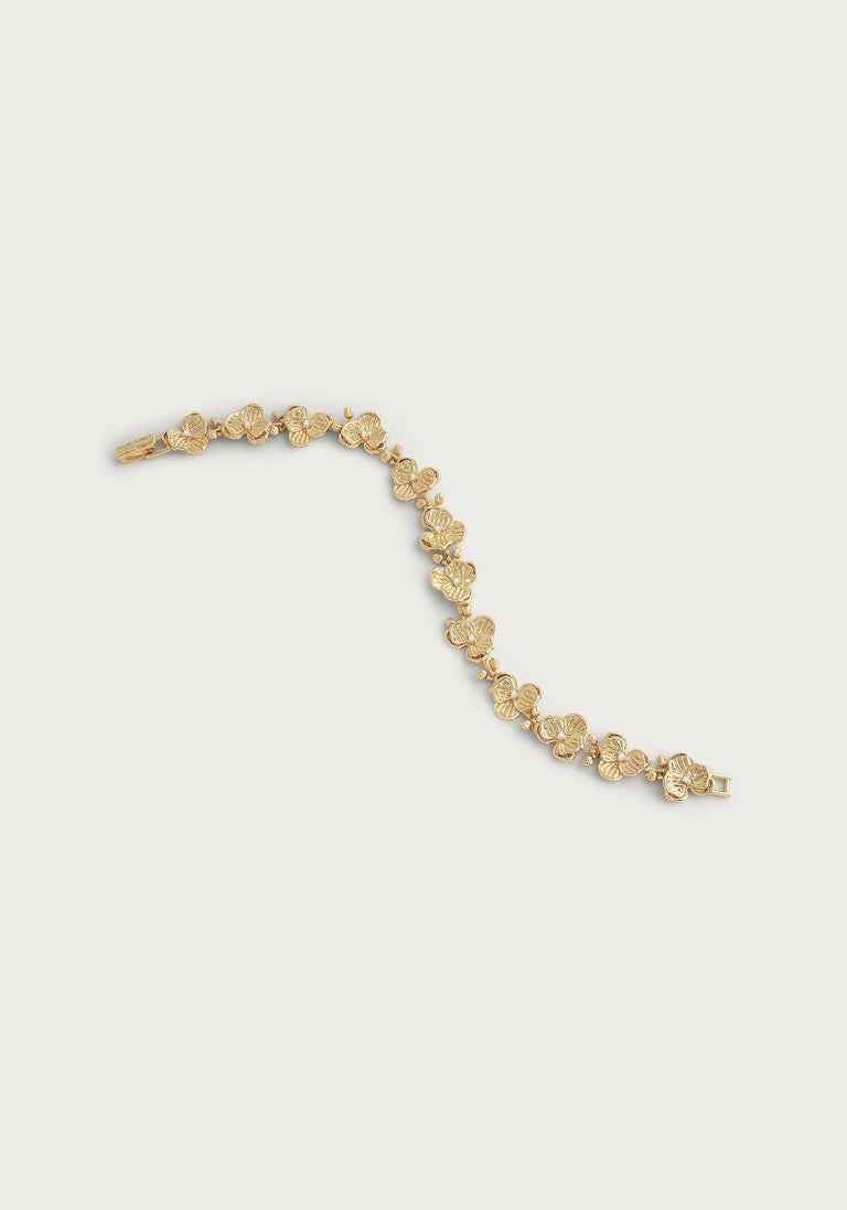 Anabel Aram Orchid Collection