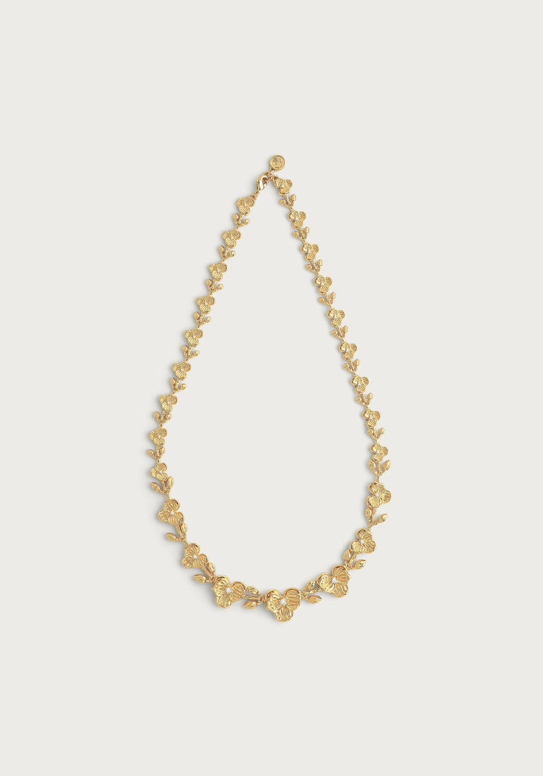 Anabel Aram Orchid Collection