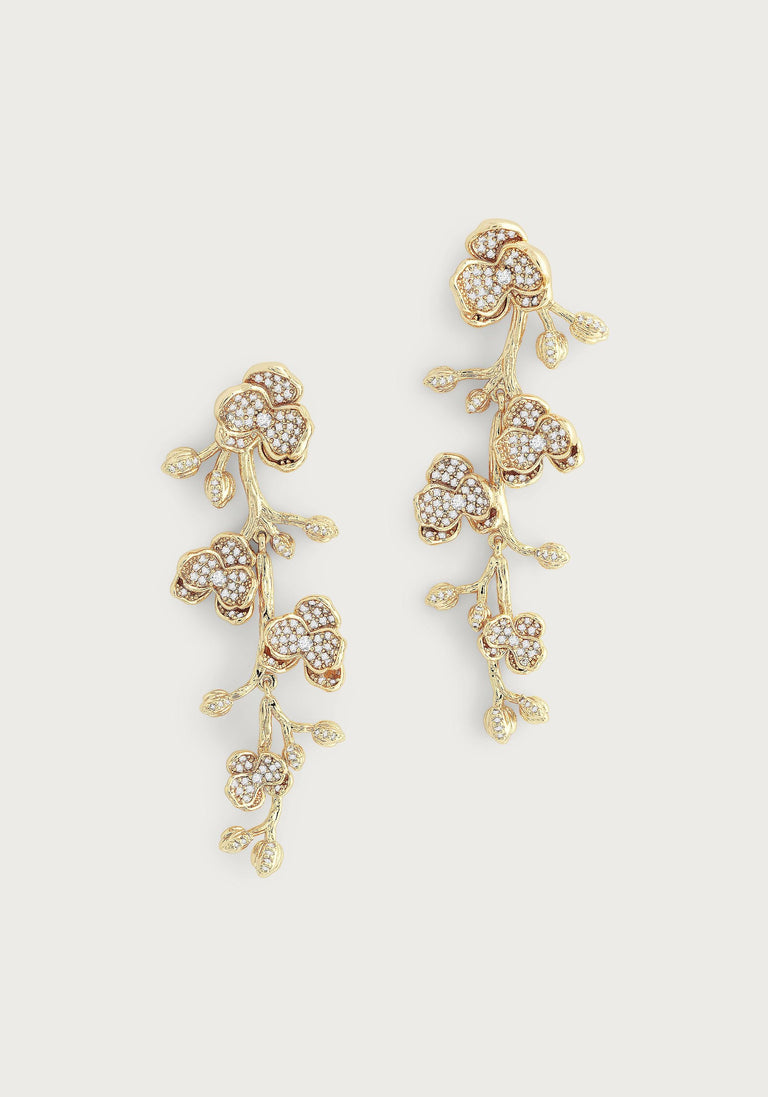 Anabel Aram Orchid Collection