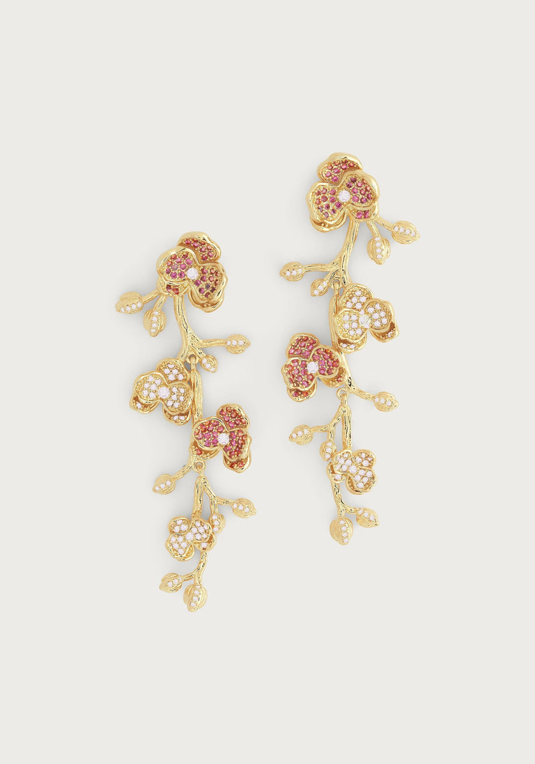 Anabel Aram Orchid Collection