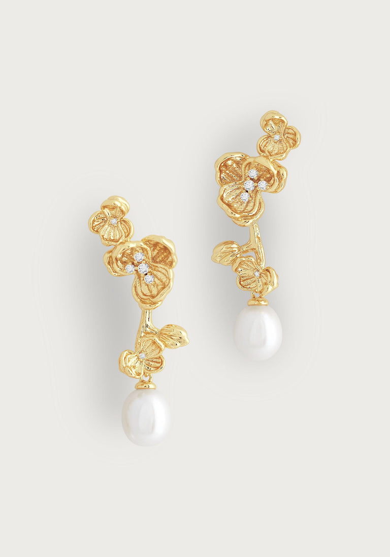 Anabel Aram Orchid Collection
