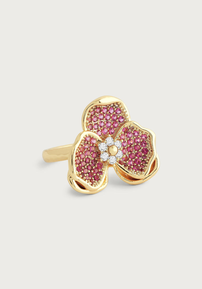Anabel Aram Orchid Collection