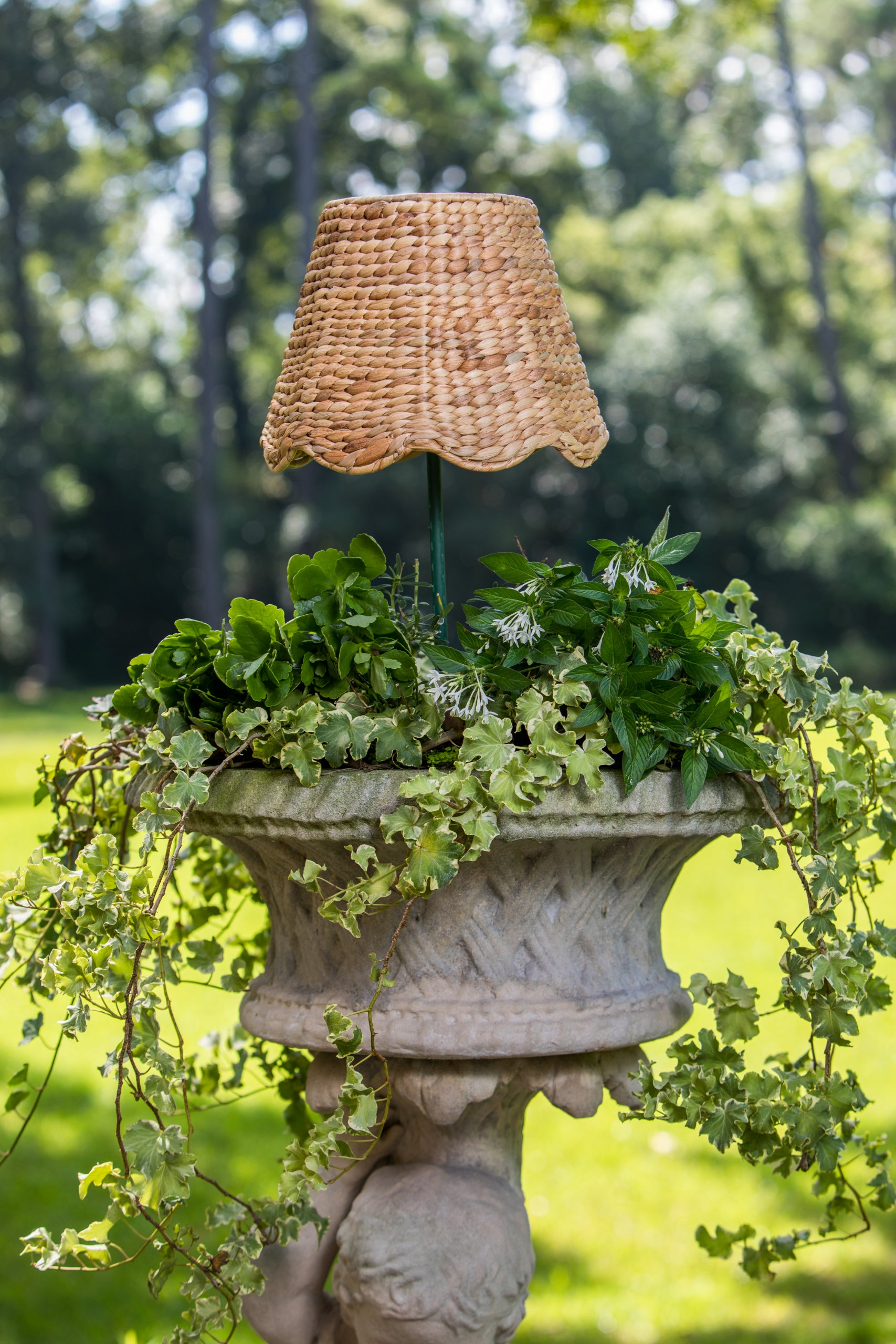 Maison Maison Design x Zafferano Scalloped Water Hyacinth LG