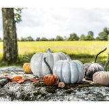 Simon Pearce Candent Crystalline Pumpkin