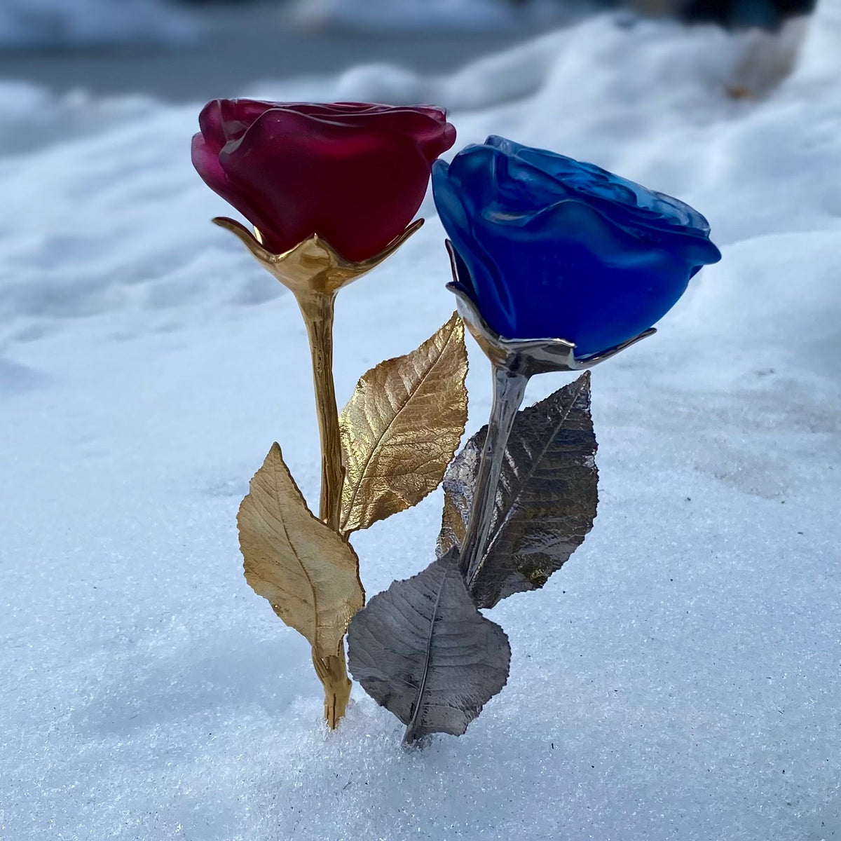Eternal Rose