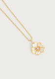 Anabel Aram Wildflowers Collection