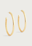 Anabel Aram Farrier Collection