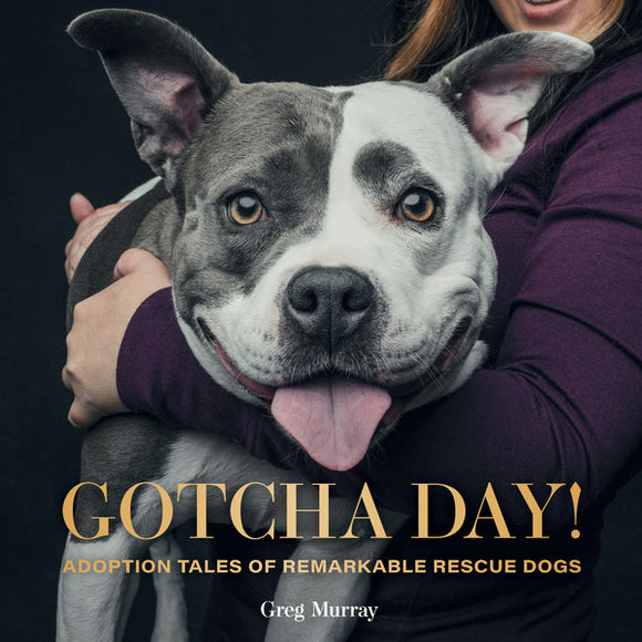 Gotcha Day! Adoption Tales of Remarkable Rescure Dogs