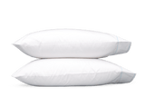 Ansonia_case_Blue_secondary.png