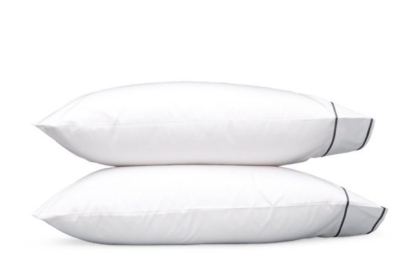 Ansonia_case_Charcoal_secondary.png