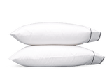 Ansonia_case_Charcoal_secondary.png