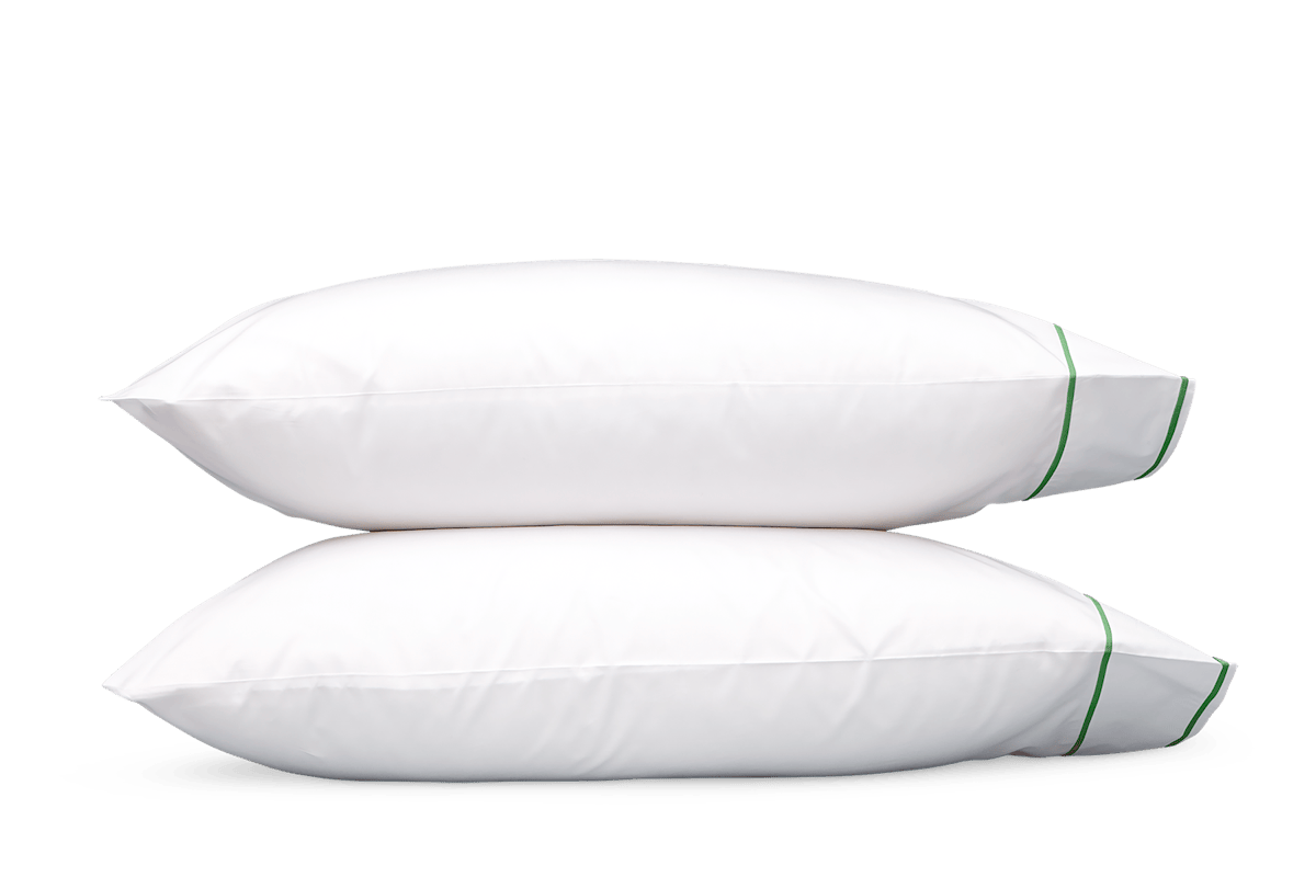 Ansonia_case_palm.png