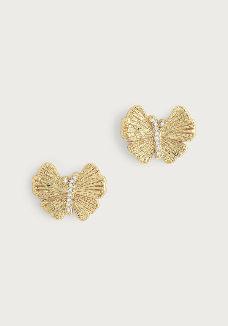 Anabel Aram Butterfly Collection
