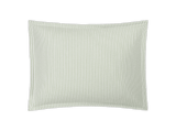 Matteo_sham_palm.png
