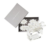Kim Seybert Spectra Napkin Ring in Clear & White, Set of 4 in a Gift Box