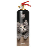 Safe-T Fire Extinguisher