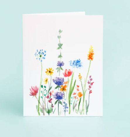 Spring Wildflowers 