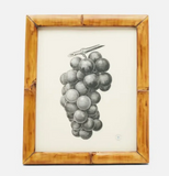 Greely Frame, Natural