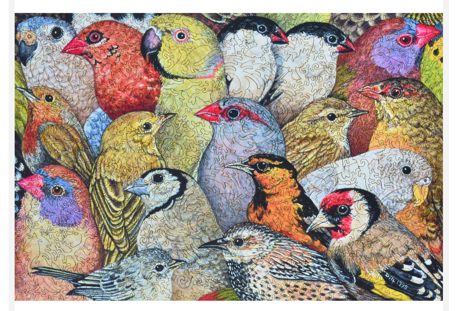 Liberty Patchwork - Birds