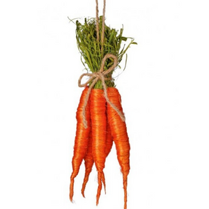 Sisal Carrot Bunch X5 18"