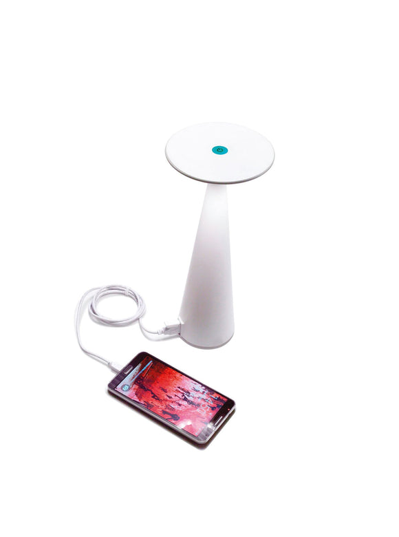 Dama Table Lamp with USB Port