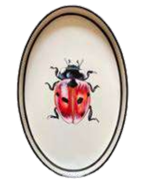 Ladybug Tray