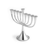 Michael Aram Molten Menorah