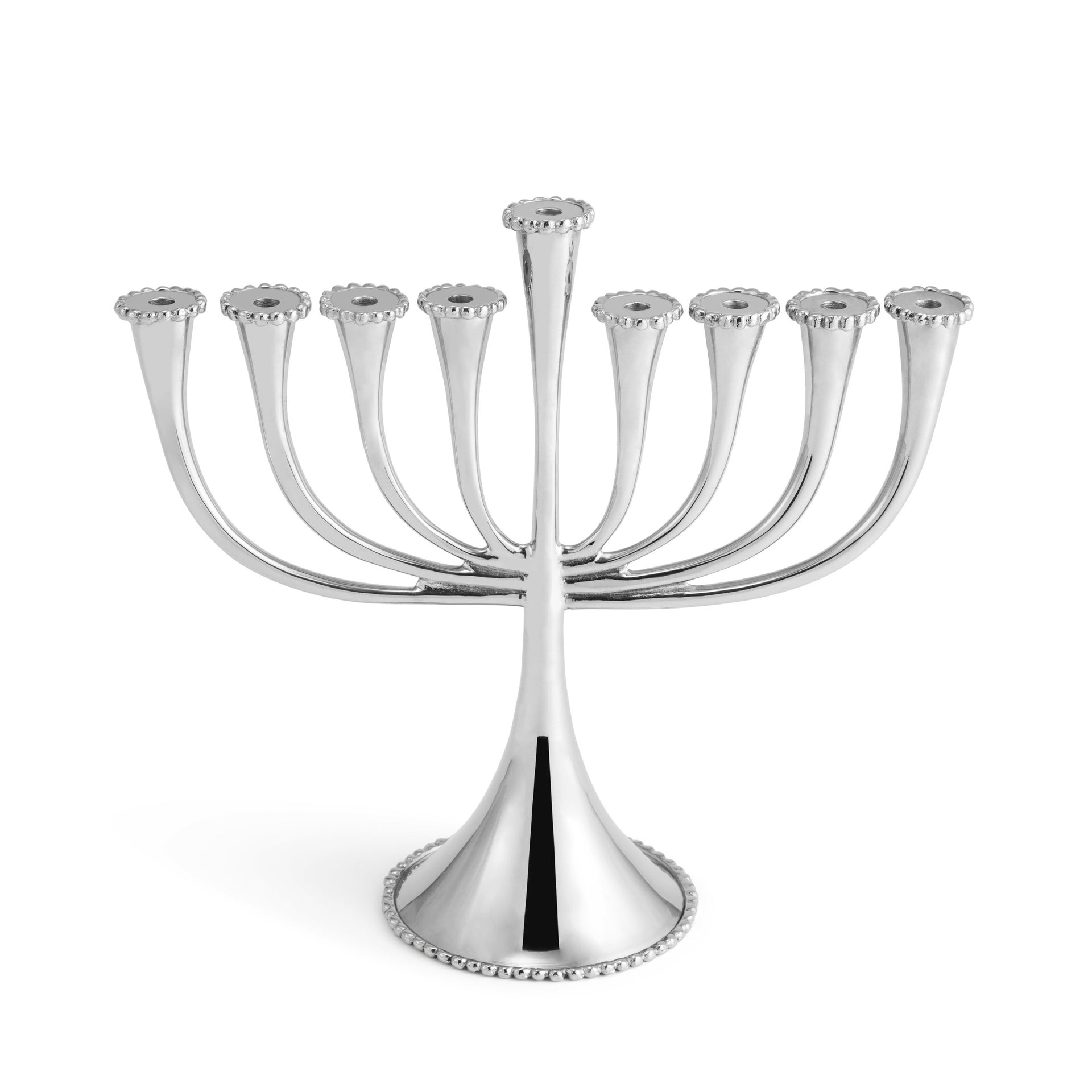 Michael Aram Molten Menorah