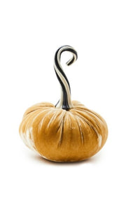 Autumnology Vanilla Twisted Stem Velvet Pumpkin