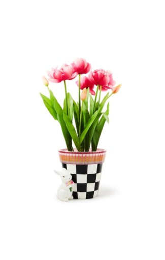 Calico Potted Tulip With Bunny