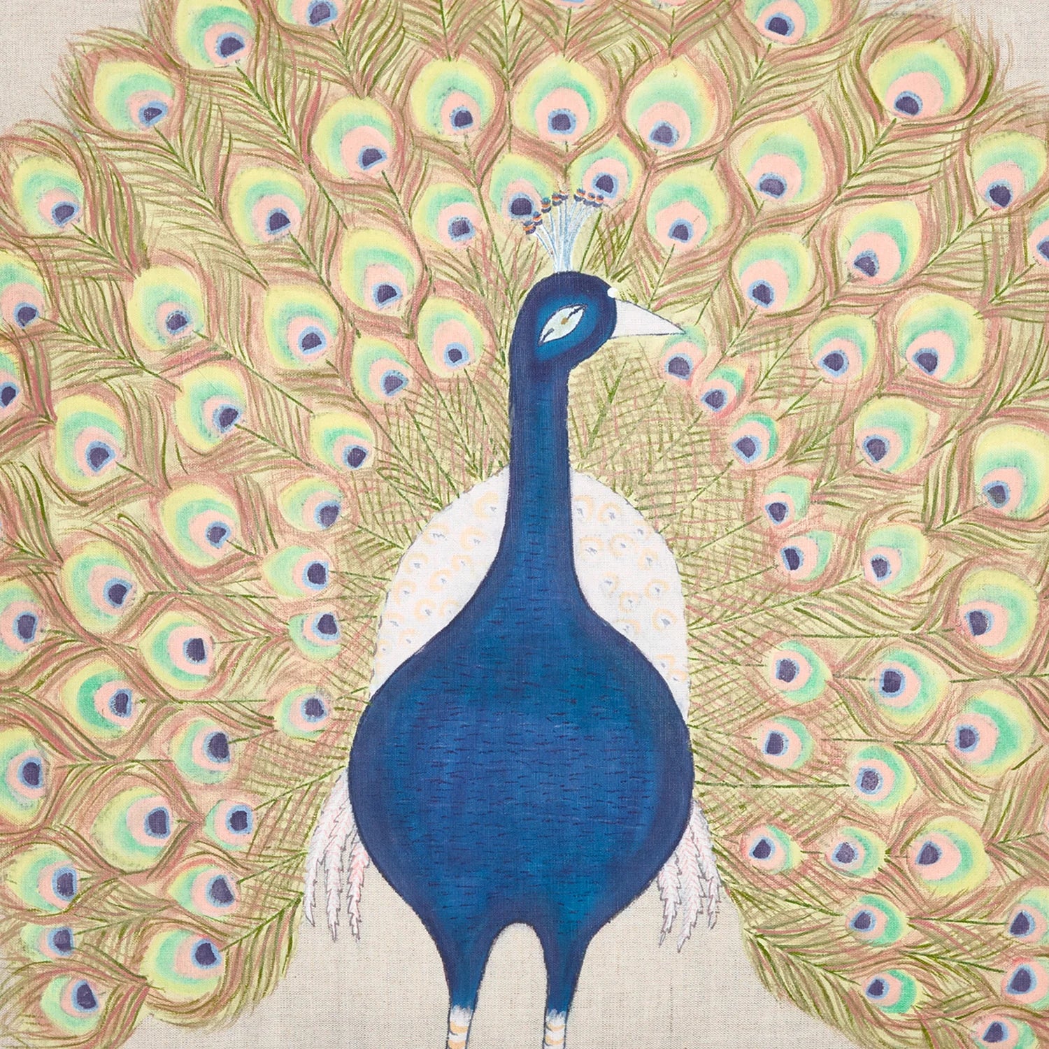 John Robshaw Cheeky Peacock Decorative Pillow
