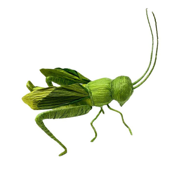 Artificial Grasshoper