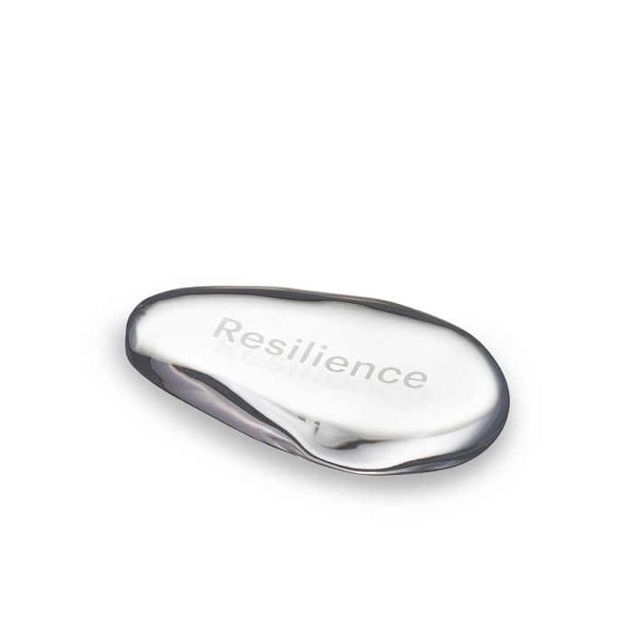 Simon Pearce Resilience Intention Stone, Kevin Pearce  LoveYourBrain