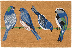 Blue Birds Natural -18" x 30"