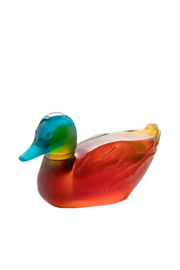 Mallard Duck