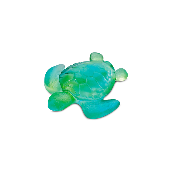 Mini Turtle Turquoise