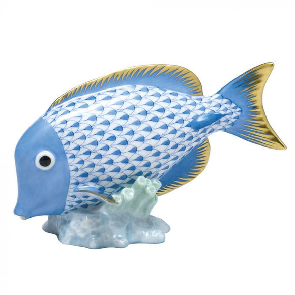 Herend Surgeonfish - Blue