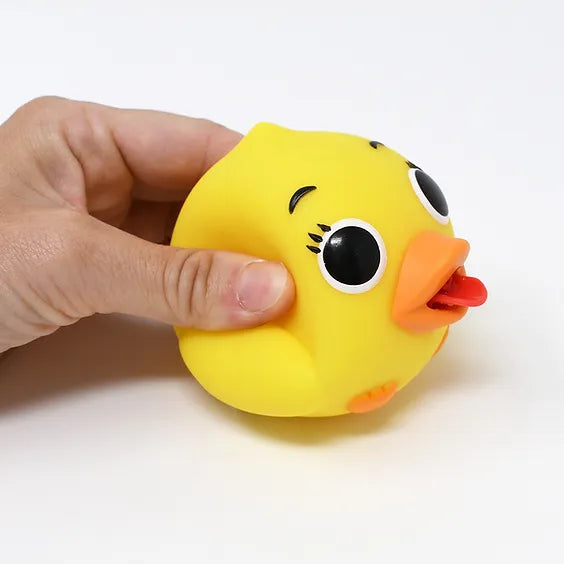 Squirbble Duck