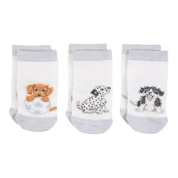 Little Paws' Dog Baby Socks- 0-6 months